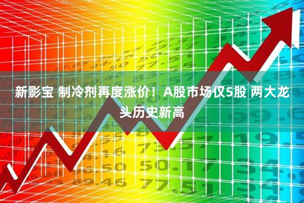 新影寶 制冷劑再度漲價！A股市場僅5股 兩大龍頭歷史新高